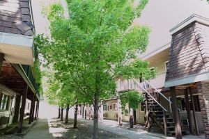 Vista Villa 5